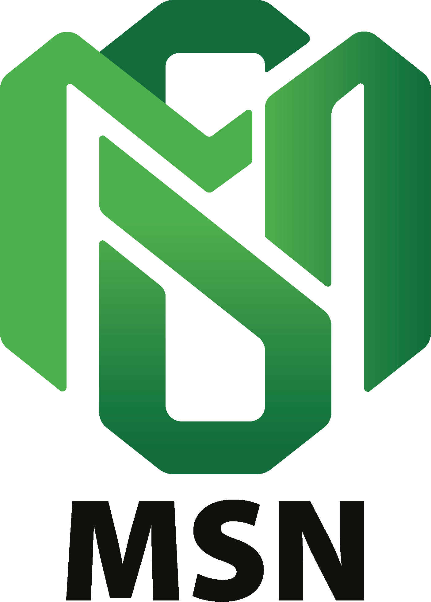 Logo MSN S.r.l.